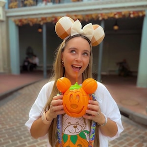 Cozy Pumpkin Spice Fall Plaid Mouse Ears, Fall Mouse Ears, Halloween Mouse Ears