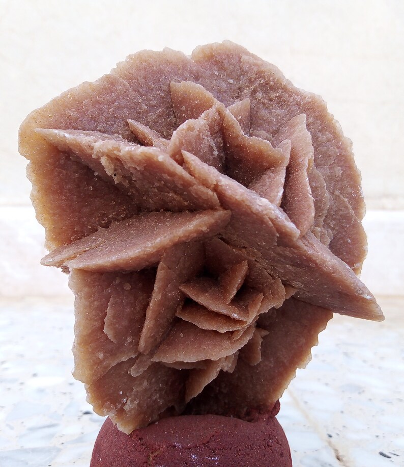 Desert Rose Rose De Sables Etsy — free download