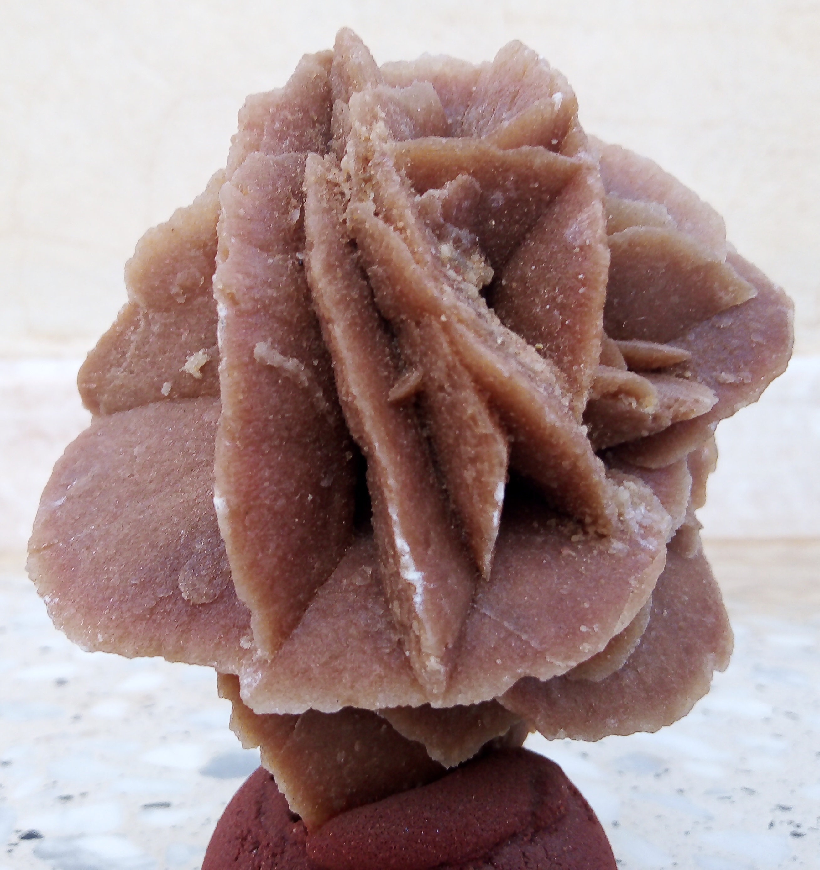 Desert Rose Rose De Sables Etsy — free download