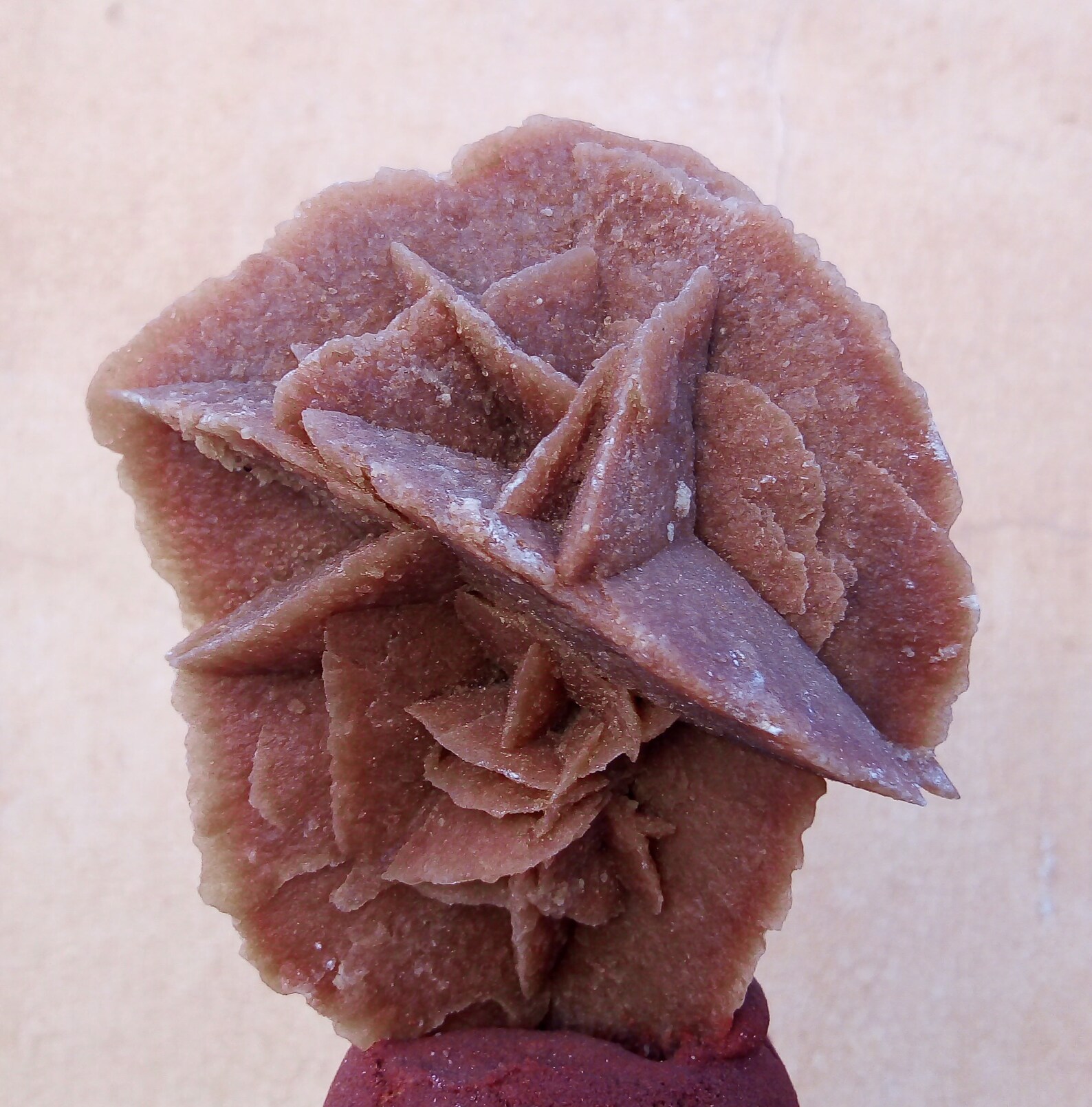 Desert Rose Rose De Sables Etsy — free download