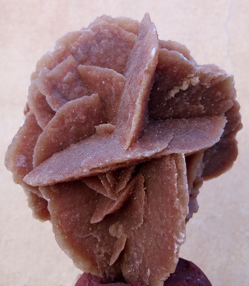 Desert Rose Rose De Sables Etsy — free download