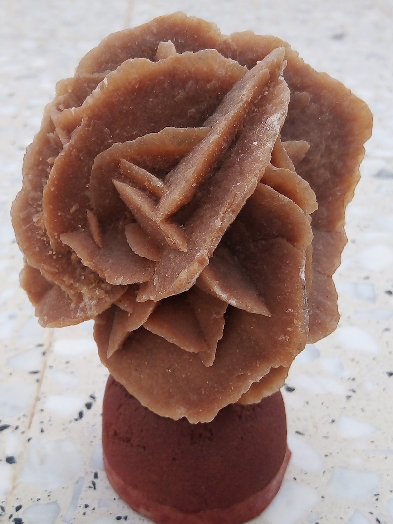 Desert Rose Rose De Sables Etsy — free download