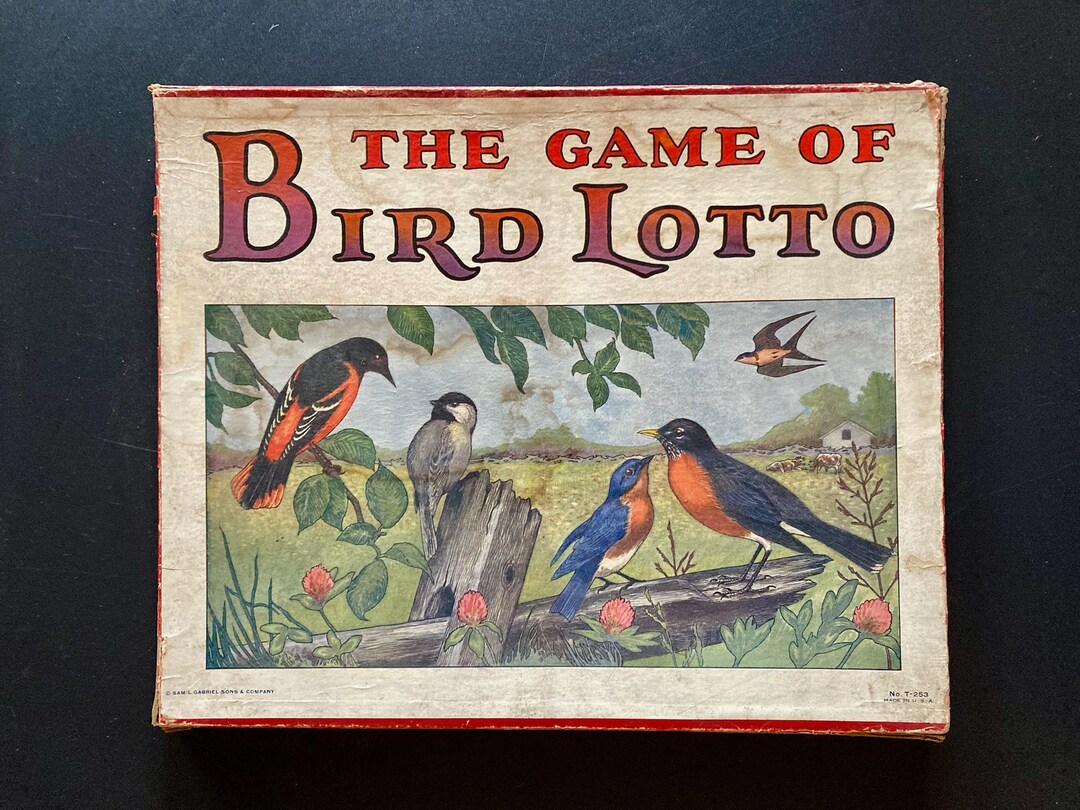 Vintage the Game of Bird Lotto Etsy