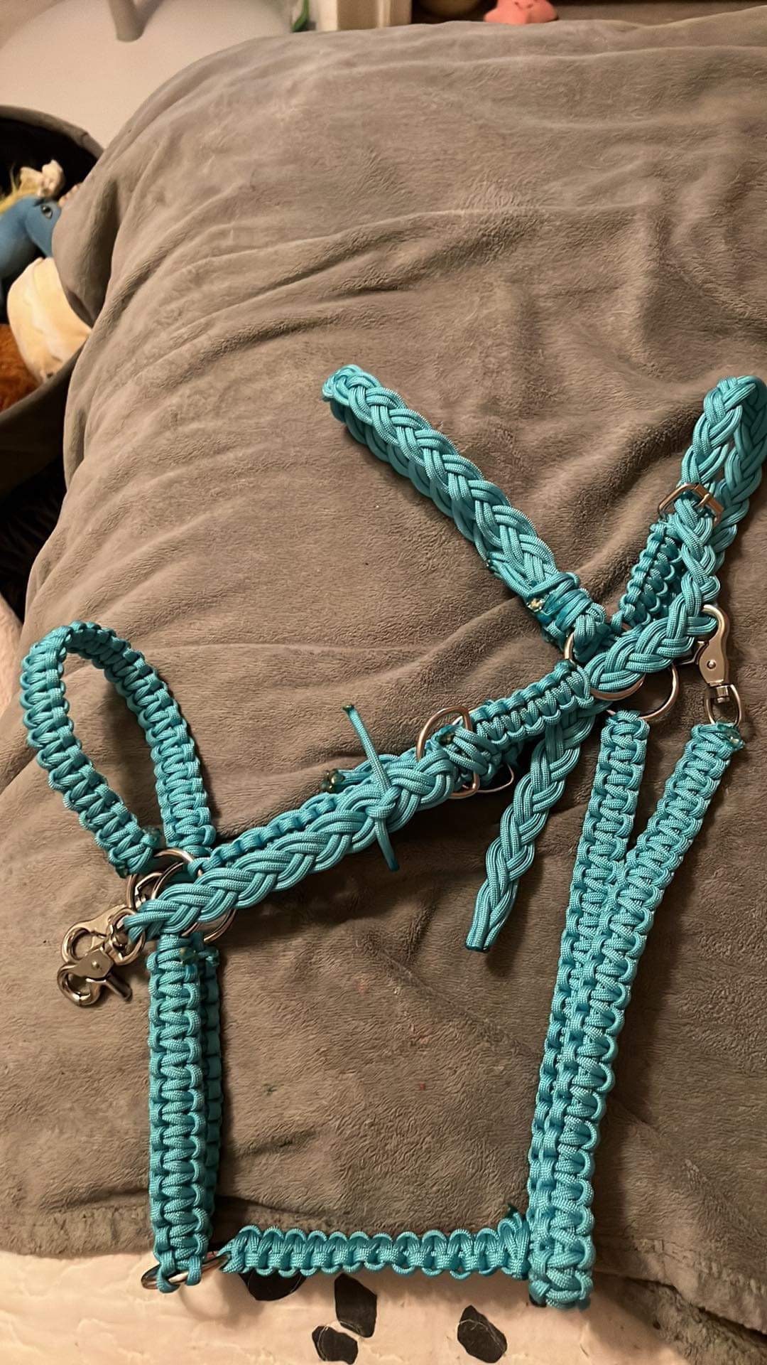 Halter/bridle Combo Etsy