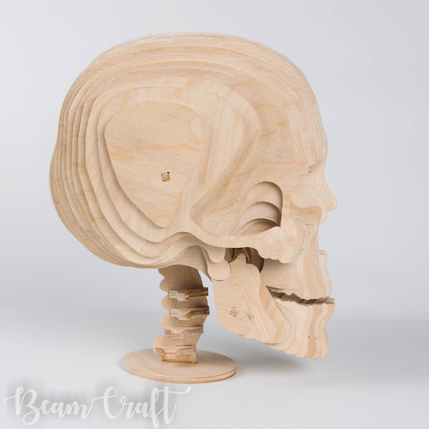 Skull model human wooden kit 3d woodcraft kid adult gift puzzle 