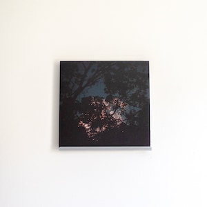 Vinyl Record Shelf | Vinyl Record Frame - Now Playing Extendable Metal Wall Mount Shelf for 7&quot; Singles, 12&quot; LPs, & Double-LPs