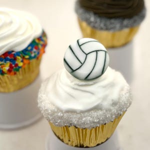 May include: A white cupcake with white sprinkles and a white and green volleyball on top. The cupcake is in a gold cupcake liner.