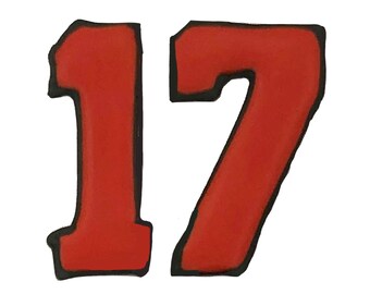 Custom Numbers Cake Decoration Topper Edible Icing by BakersDozenToGo