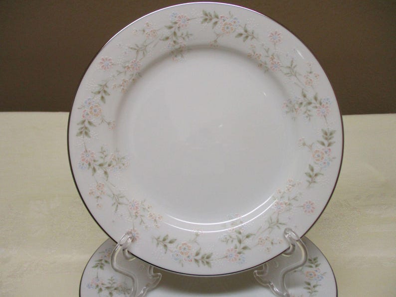 Noritake Holbrook 2994 Salad Plates - Thumbnail 4