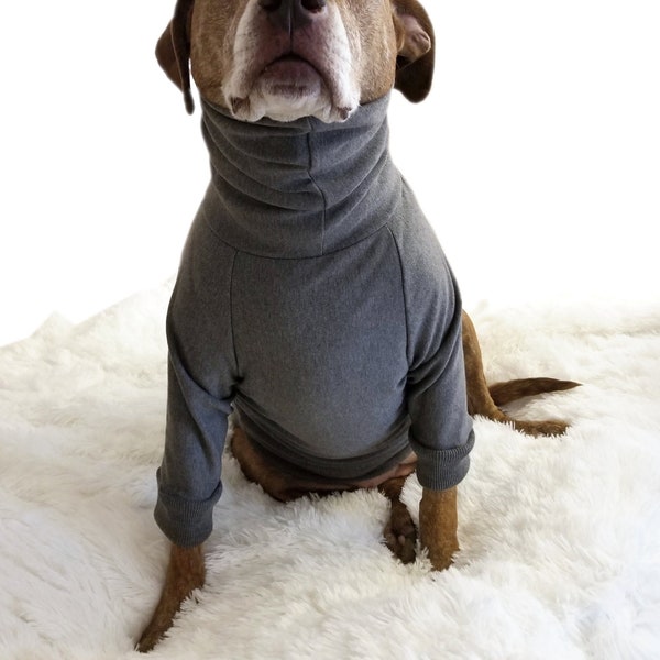 Big Dog Clothes Athletic Gray Sweatshirt Pullover Turtleneck Large Shirt Sweater Coat