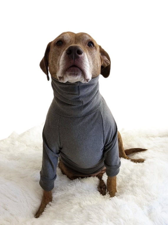 Ropa de perro grande Jersey gris Pullover - Etsy