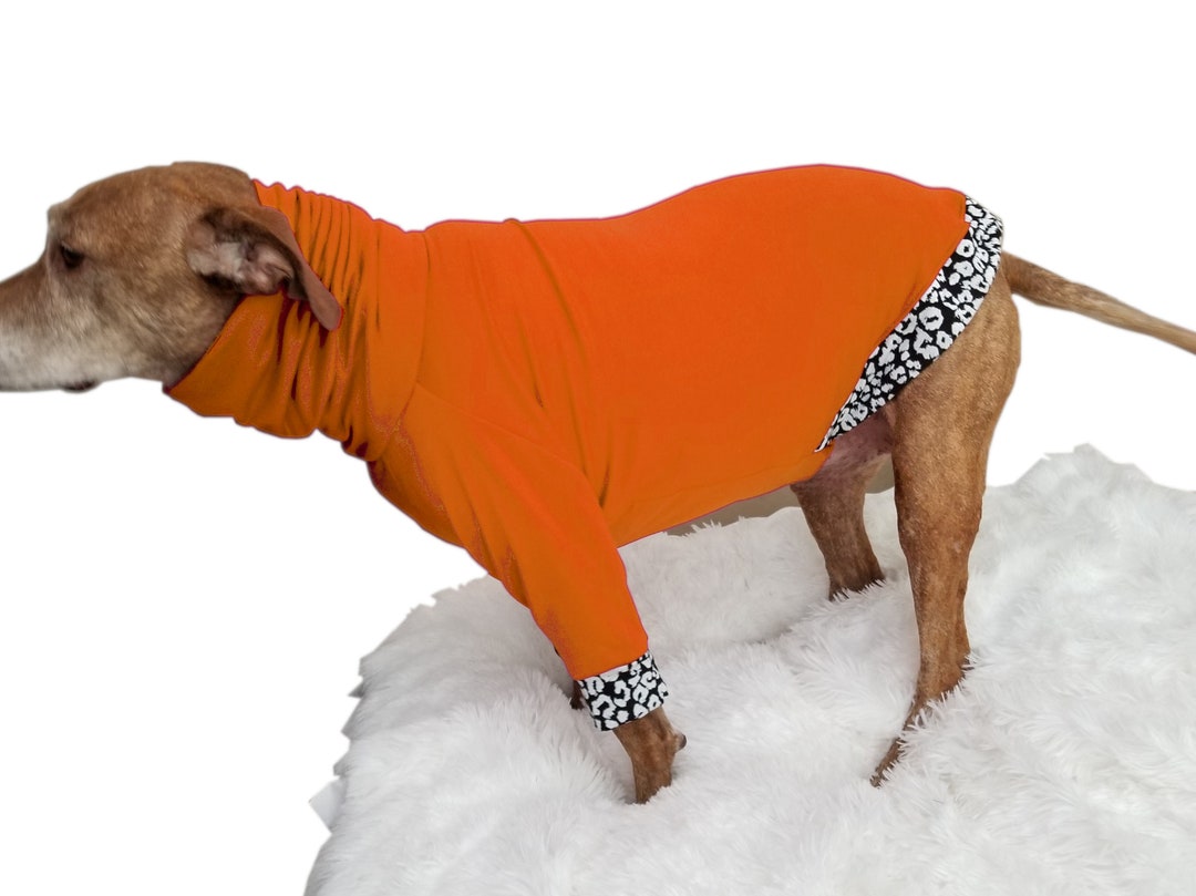 Big Dog Clothes Sweatshirt Fleece Shirt Sweater Large Pullover Leopard