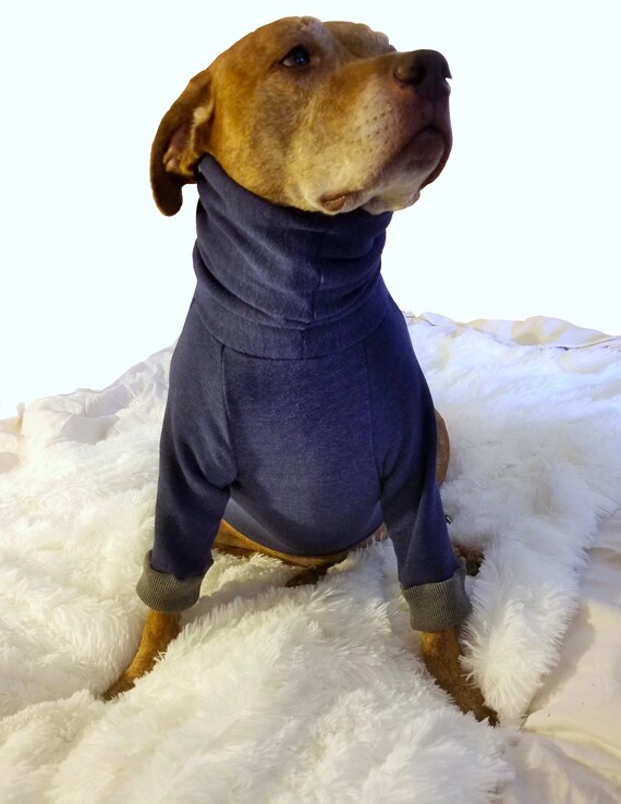 santa dress for dogs