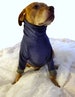 Big Dog Fleece Sweatshirt Pullover Turtleneck Large Shirt Sweater Coat 