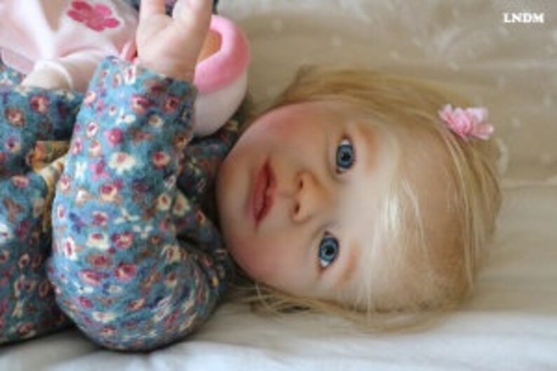 custom reborn toddler