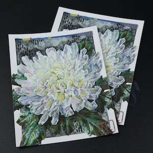 White chrysanthemum giclee print