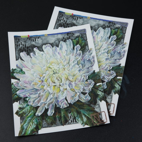 Weiße Chrysantheme Giclee Druck