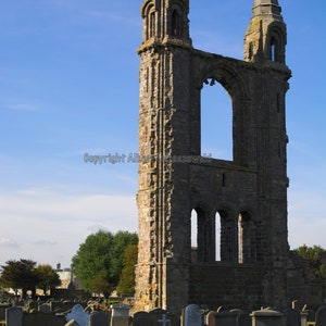 St Andrews Cathedral Cemetery - Large Canvas Print