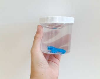 Carnavalsvis Ultra Clear Slime | Visbedeltje, Rekbare Kneedpasta