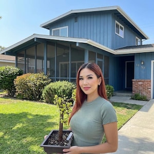 May include: A small bonsai tree with light green leaves planted in a dark rectangular ceramic pot. The tree features a thick, woody trunk and is held in front of a two-story blue house with a screened-in porch and a brick entryway detail.