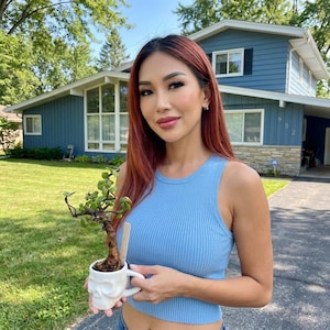 May include: A small green bonsai tree planted in a white ceramic skull-shaped mug. The mug features a detailed molded skull design with hollow eye sockets and a nasal cavity. A small wooden plant marker is tucked into the soil next to the tree.