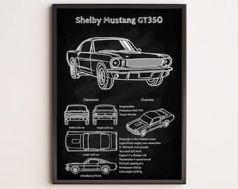 Mustang Shelby GT350 ! La première Mustang Shelby en