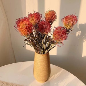 dried leucospermum  flowers ，natural leucospermum Cordifolium，dry flowers arrangement，flowers for vase filler，home decoration，wedding  decor