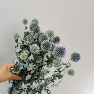 natural  Globe Thistle bunch， dried Echinop balls，dried flowers arrangement，blue flowers for vase，DIY craft supply，home wedding decor