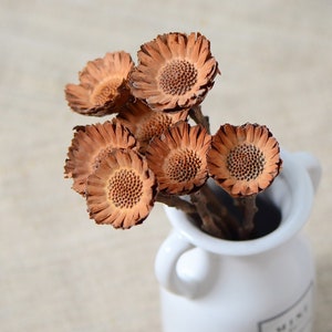 2/5dried protea rosette flowers，natural protea stems，dried flowers for vase filler，DIY floral arrangement，home wedding flower decor