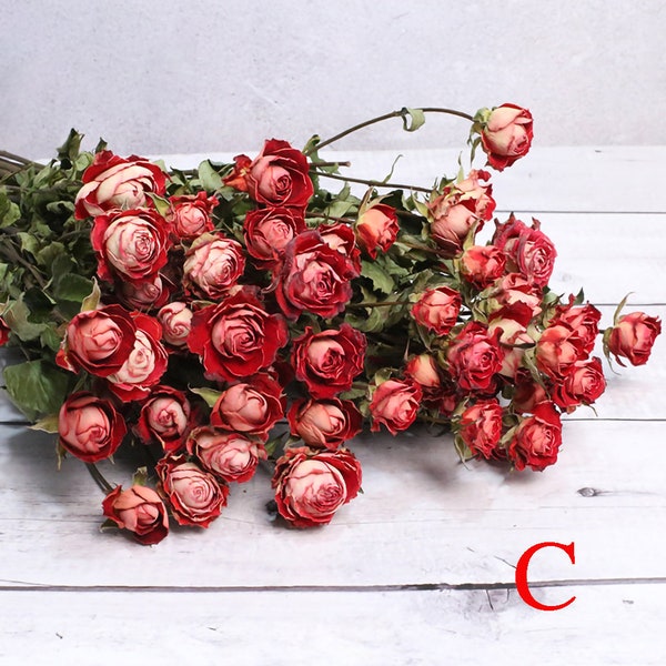 getrockneter Rosenstrauß, 30 Rosenblüten in einem Bündel, getrocknete Rosenblumen, getrocknete Blumen, Schreibtischdekor, Hochzeitsdekor