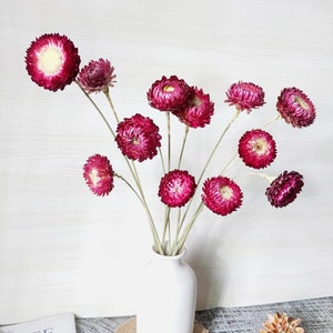 purple strawflower branches，artificials flowers，dried flowers  arrangement，purple flowers for vase， DIY  materials，wedding flowers