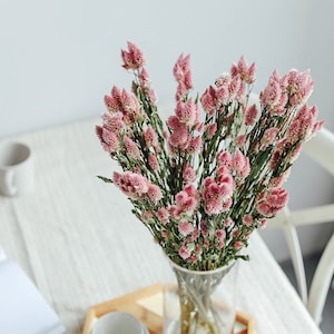 10 stems dried Celosia Flamingo Feather branches，dry pink flowers bouquet，flowers arrangement， DIY craft supply，home  decor，wedding  decor