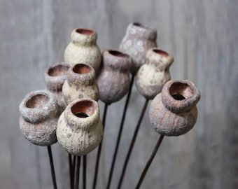 Strange Pea Shooter branch，handmade flowers branch，dry flowers arrangement，home decor，wedding flower decor，flower for vase，eucalyptus decor