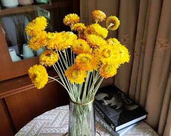 strawflowers branches，dried strawflowers heads，dried flowers arrangement，yellow flowers for vase，DIY craft supply home decoration，