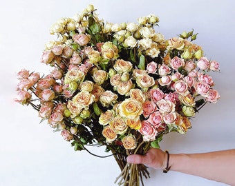 paquete de flores de rosas secas, flor de capullo de rosa natural, rosa real con tallos, arreglo de flores secas, ramo de flores de rosas secas, decoración de bodas en el hogar,