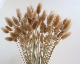 50/100/250pcs bunny  tails grass ,dried  lagurus grass ,dry grass bouquet for vase，DIY handcraft materials，home decor，wedding decor