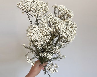 preserved AUS rice flowers bunch，natural flowers bouquet，dry flowers arrangement，DIY craft supply，dry flowers for vase，home wedding decor