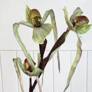 Orquídea artificial tipo zapatilla, 79 cm, orquídea Paphiopedilum de 3 cabezas, flor de tacto real, decoración para bodas y el hogar, plantas verdes artificiales.