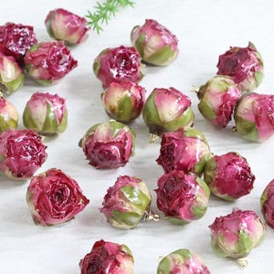 Op de afbeelding: Een verzameling kleine, gedroogde rozenknopbedels met diep magenta en roze bloemblaadjes en groene kelkblaadjes. Elke rozenknop is voorzien van een glanzende, harsachtige afwerking en heeft een klein goudkleurig metalen oogje aan de onderkant.
