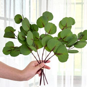 fake Silver Dollar bunch, artificial eucalyptus branch, real touch eucalyptus leaves,DIY flower arrangement,home/wedding eucalyptus decor