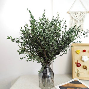 Preserved Parvifolia Eucalyptus，Dried eucalyptus leaves bunch,flower arrangement，Home decor, vase filling, wedding decor，diy craft supply