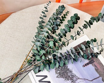 Konservierte rote / grüne Eukalyptusbündel, getrocknete Blume für Vasenfüller, getrocknetes Blumenarrangement, Wohndekor, Hochzeit Eukalyptusdekor