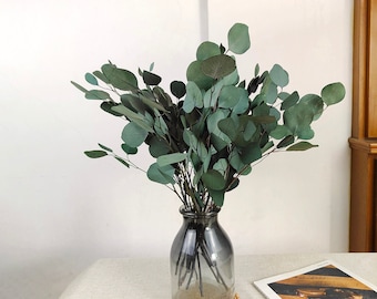 grün silbernes Eukalyptus Bündel，konservierte Eukalyptusäste，Vasenfüllung，Trockenblumenarrangement, Wohndekor，Hochzeitsdekor，