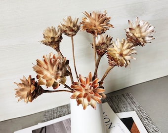 dried Plumosum  flowers，natural Plumosum  branches，african flowers，dried flowers arrangement，flowers vase，home decor，wedding flowers decor