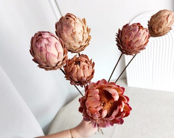 dried protea flower balls，natural protea buds，dried flower for vase，DIY craft supply，home  decor，wedding flower decor