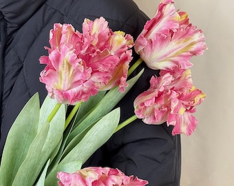 28‘’artificial parrot tulips，fake tulips flower stems，faux tulip flower，DIY flower arrangements，flowers for vase，home/wedding tulip decor