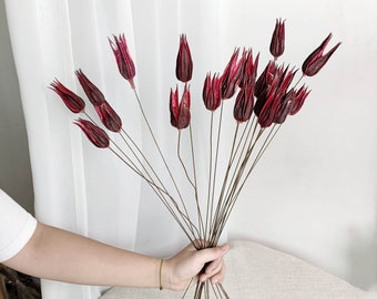10/25 sticks small red okra branches，dried flower branches flower arrangement，vase filler，DIY handcraft supply，boho home decor，wedding decor