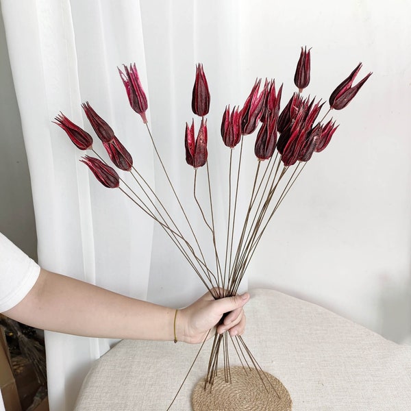 10/25 sticks small red okra branches，dried flower branches flower arrangement，vase filler，DIY handcraft supply，boho home decor，wedding decor