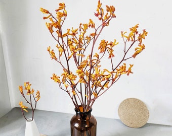 konservierte Känguruhpfotenzweige，getrocknete Kängurublumenstrauß，getrocknete Blumenarrangement，Blumen für Vase，Hausdekoration，Hochzeitsdeko