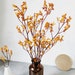 see more listings in the dried  flowers/leaves section